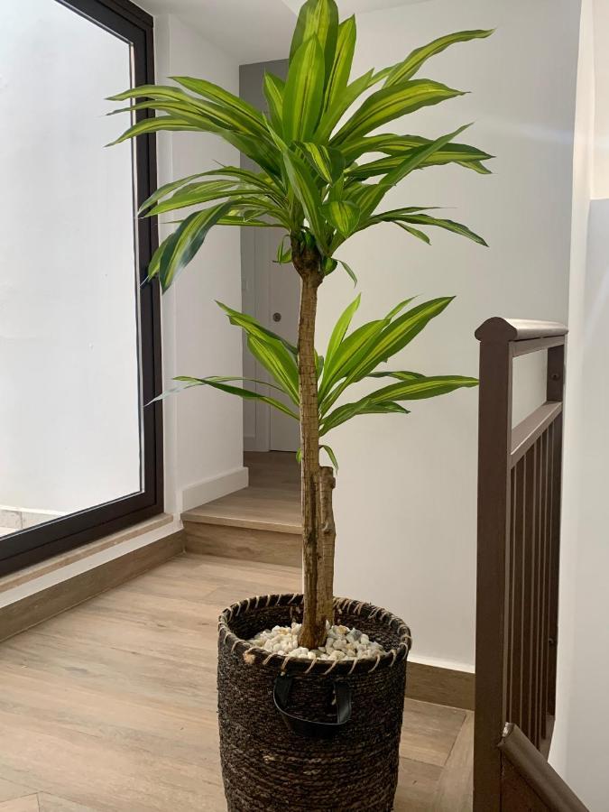 Puerta De Caceres Apartamento 2 외부 사진