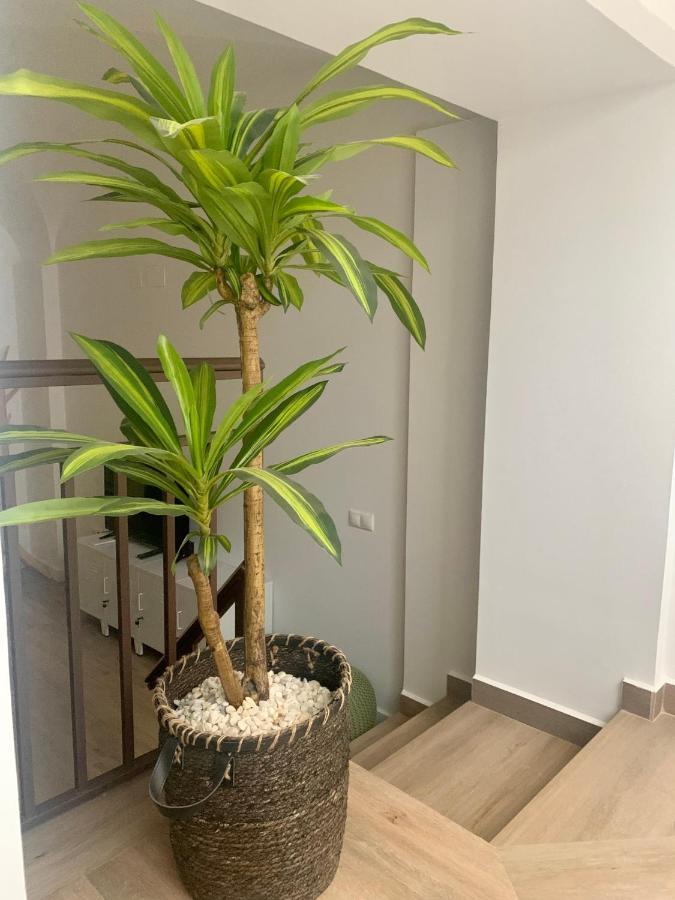 Puerta De Caceres Apartamento 2 외부 사진