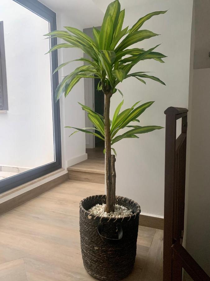 Puerta De Caceres Apartamento 2 외부 사진