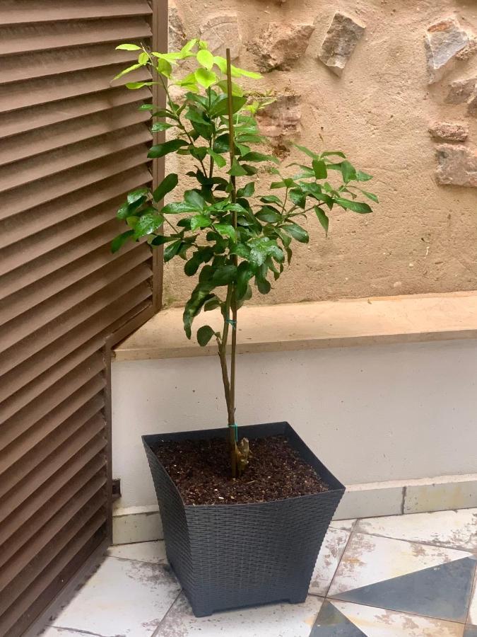 Puerta De Caceres Apartamento 2 외부 사진